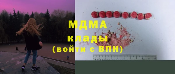 шишки Лагань