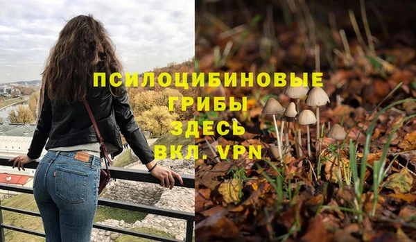 не бодяженный Лабытнанги